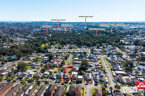 Property photo of 257 River Avenue Carramar NSW 2163