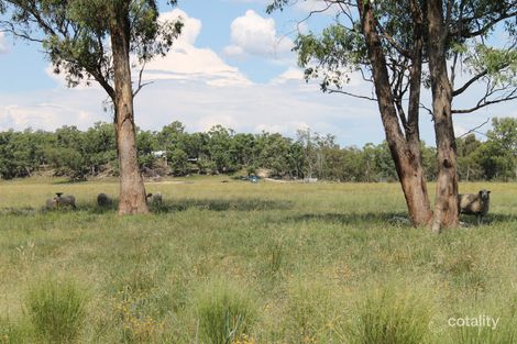 183 Twin Creek Rd, Coolatai, NSW 2402