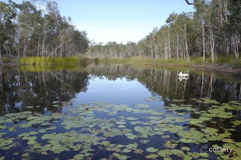 Property photo of 647 Matchbox Road Deepwater QLD 4674