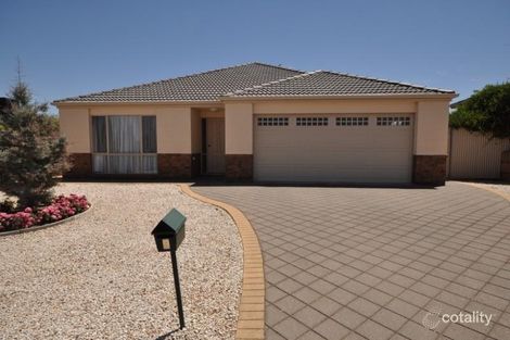 Property photo of 9 Falcon Crescent Blakeview SA 5114