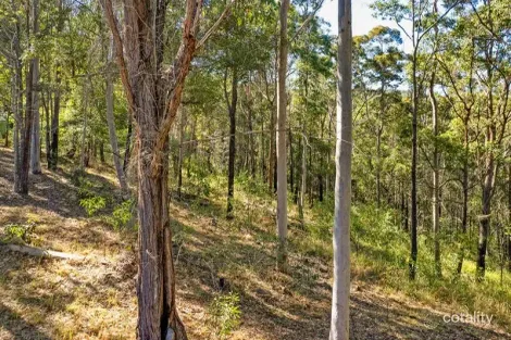 Property photo of 132 Crisp Drive Ashby Heights NSW 2463