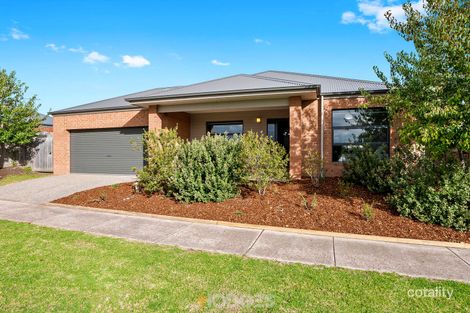 34 Curtain Dr, Leopold, VIC 3224