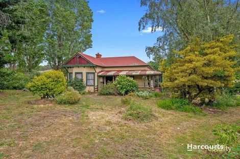 Property photo of 44 Ironcliffe Road Penguin TAS 7316