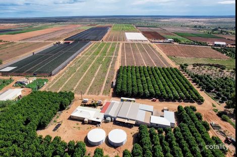 137 North River Rd, North Plantations, WA 6701