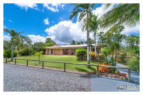 Property photo of 319 Glendale Road Glendale QLD 4711