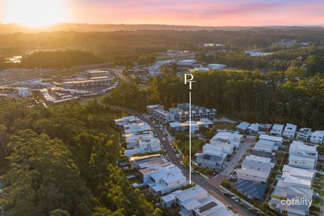 48 Palm Forest Cct, Forest Glen, QLD 4556