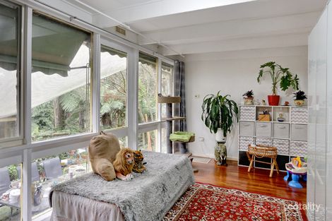 6 Nioka Cl, Cockatoo, VIC 3781