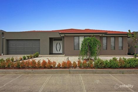 Property photo of 39 Pimelea Terrace St Albans VIC 3021