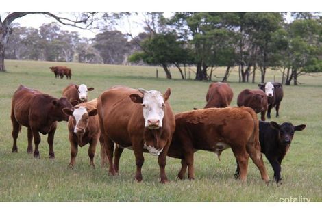 Property photo of 940 Battunga Road Meadows SA 5201