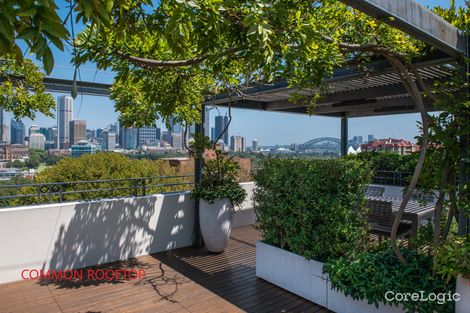 Property photo of 23/11 Springfield Avenue Potts Point NSW 2011