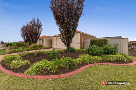 Property photo of 24 Angas Avenue Evanston Park SA 5116