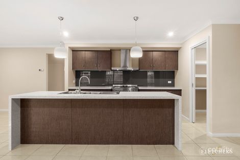 Property photo of 14 Pomaderris Drive Mernda VIC 3754