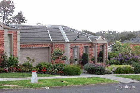 Property photo of 1/31 Lemana Crescent Mount Waverley VIC 3149