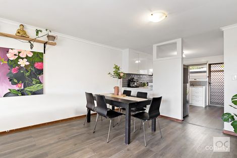 Property photo of 3/13 Austral Terrace Morphettville SA 5043
