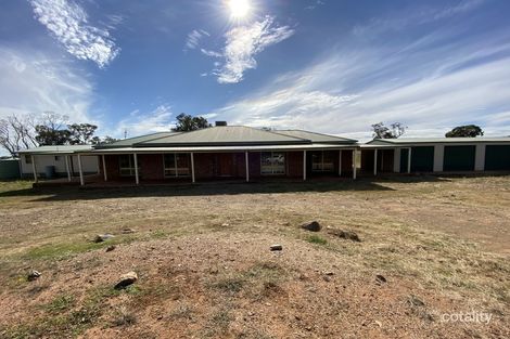 60 Trewilga Rd, Peak Hill, NSW 2869
