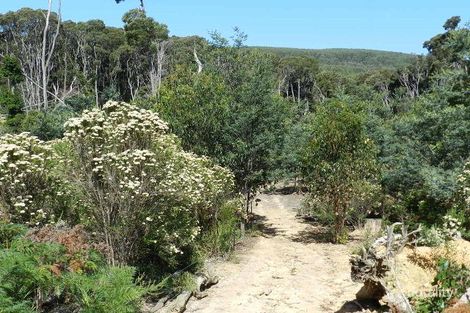 Property photo of 37 Woolleys Road Takone TAS 7325