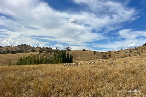 Mount Mcdonald Rd, Wyangala, NSW 2808