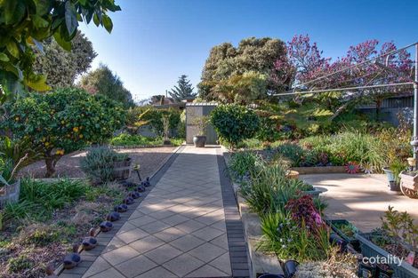 Property photo of 13 Killara Avenue Mount Austin NSW 2650