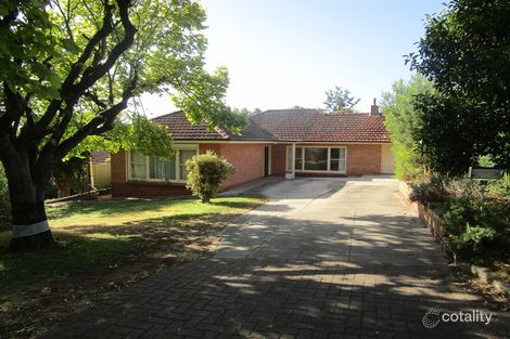 51 High St, Burnside, SA 5066