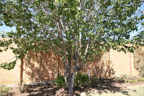 Lot 108 Stanford Ave, Novar Gardens, SA 5040