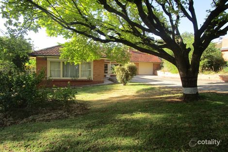 Property photo of 51 High Street Burnside SA 5066