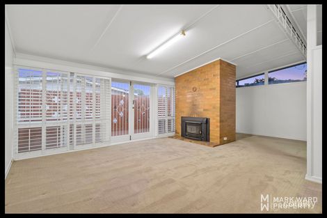 Property photo of 46 Wilclarke Street Upper Mount Gravatt QLD 4122