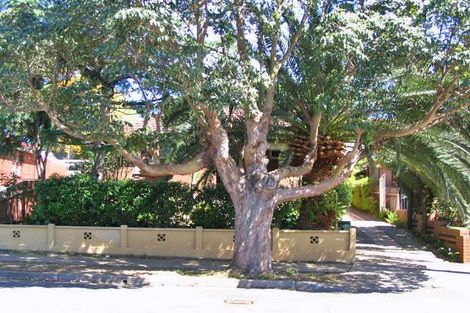 141 Station St, Wentworthville, NSW 2145