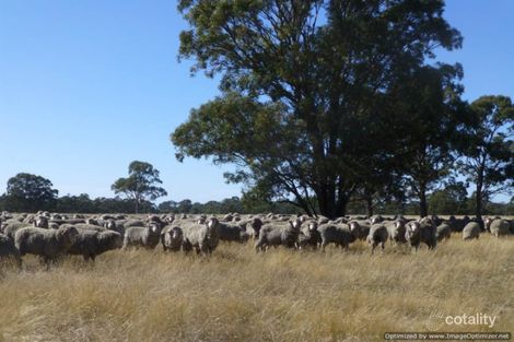 540 Barkhill Rd, Forge Creek, VIC 3875