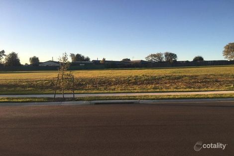 19 Birtle St, The Oaks, NSW 2570