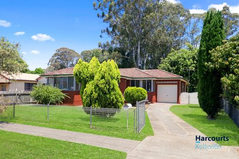 Property photo of 3 Barangaroo Road Toongabbie NSW 2146