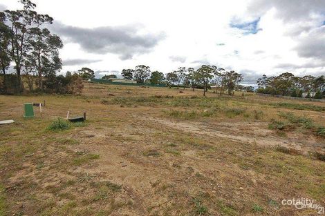 Property photo of 9 Willow Street Willow Vale NSW 2575