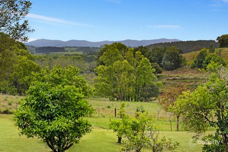 Property photo of 597 Houghlahans Creek Road Pearces Creek NSW 2477