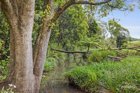 Property photo of 597 Houghlahans Creek Road Pearces Creek NSW 2477
