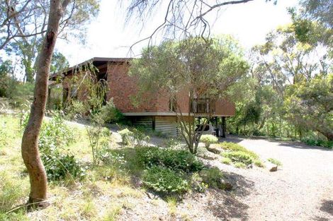 Property photo of 7 Myrtle Road Hawthorndene SA 5051