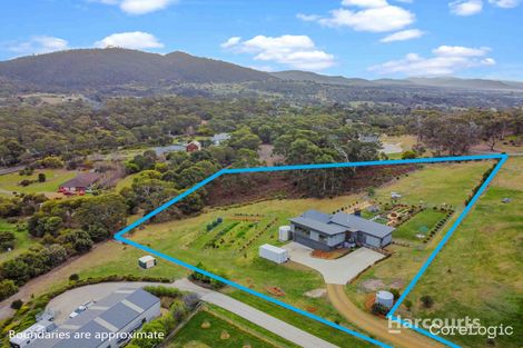 Property photo of 41 Cahill Place Acton Park TAS 7170