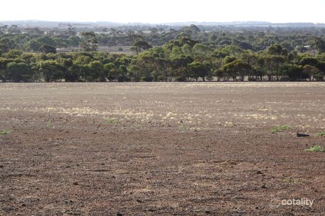 55 Daylesford Rd, Popanyinning, WA 6309