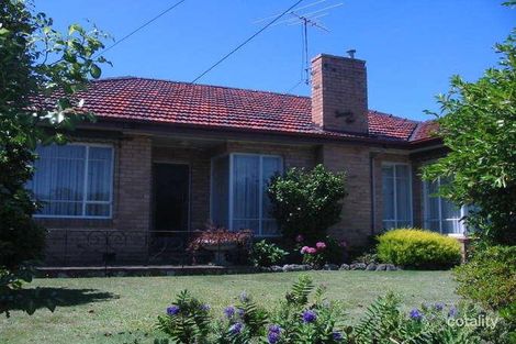 Property photo of 21 Kinlock Avenue Murrumbeena VIC 3163