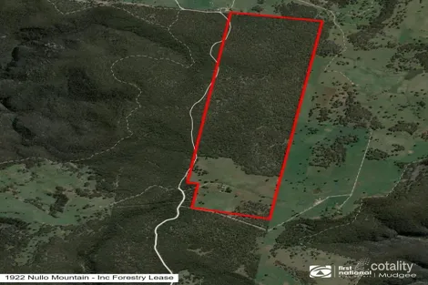 Property photo of 1922 Nullo Mountain Road Nullo Mountain NSW 2849