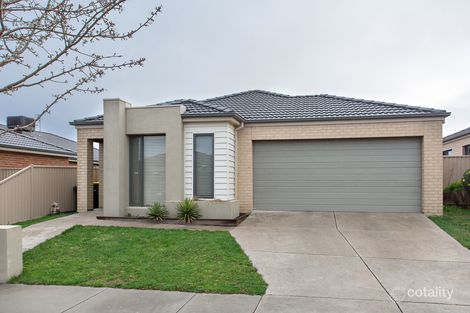 Property photo of 19 Carbine Drive Alfredton VIC 3350