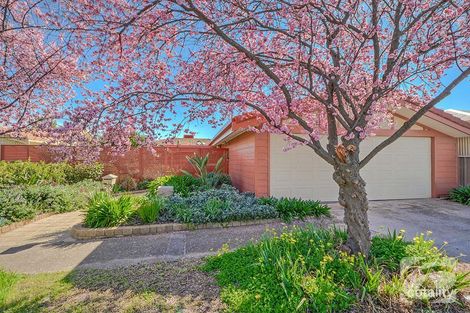 13 Donaldson Dr, Paradise, SA 5075