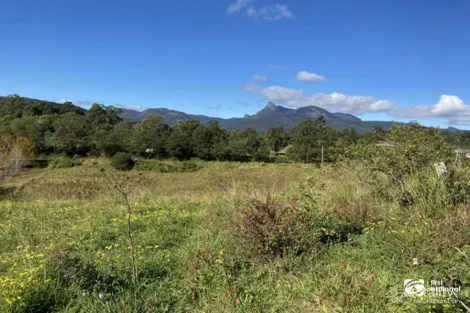 Limpinwood Rd, Limpinwood, NSW 2484