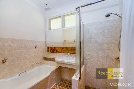 Property photo of 43 Cressington Way Wallsend NSW 2287