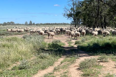 2656 Lower Daymar Rd, Daymar, QLD 4497