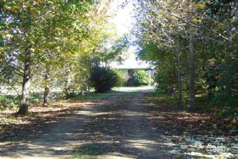 Property photo of 274 Kundle Kundle Road Kundle Kundle NSW 2430