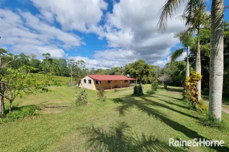 Property photo of 21 Trinity Close Julatten QLD 4871