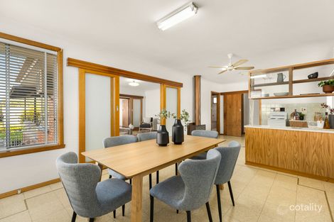 Property photo of 12 Merbein Street Pascoe Vale VIC 3044