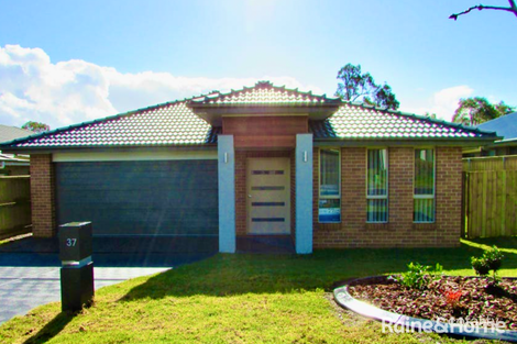 Property photo of 37 Rockmaster Street Chisholm NSW 2322