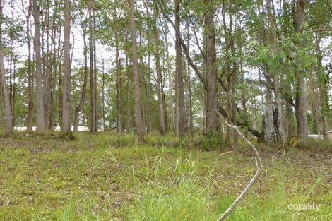 Property photo of 30 Blackbean Court Black Mountain QLD 4563