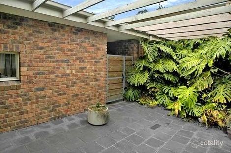 41b Laburnum St, Blackburn, VIC 3130
