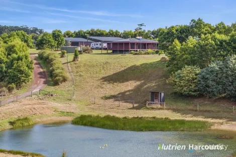 6/209 Timboon-Curdievale Rd, Timboon, VIC 3268